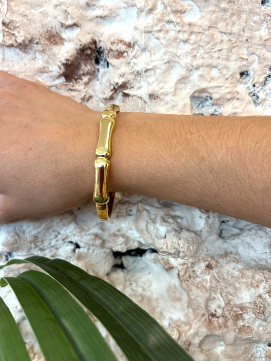 BRAZALETE CLÁSICO
