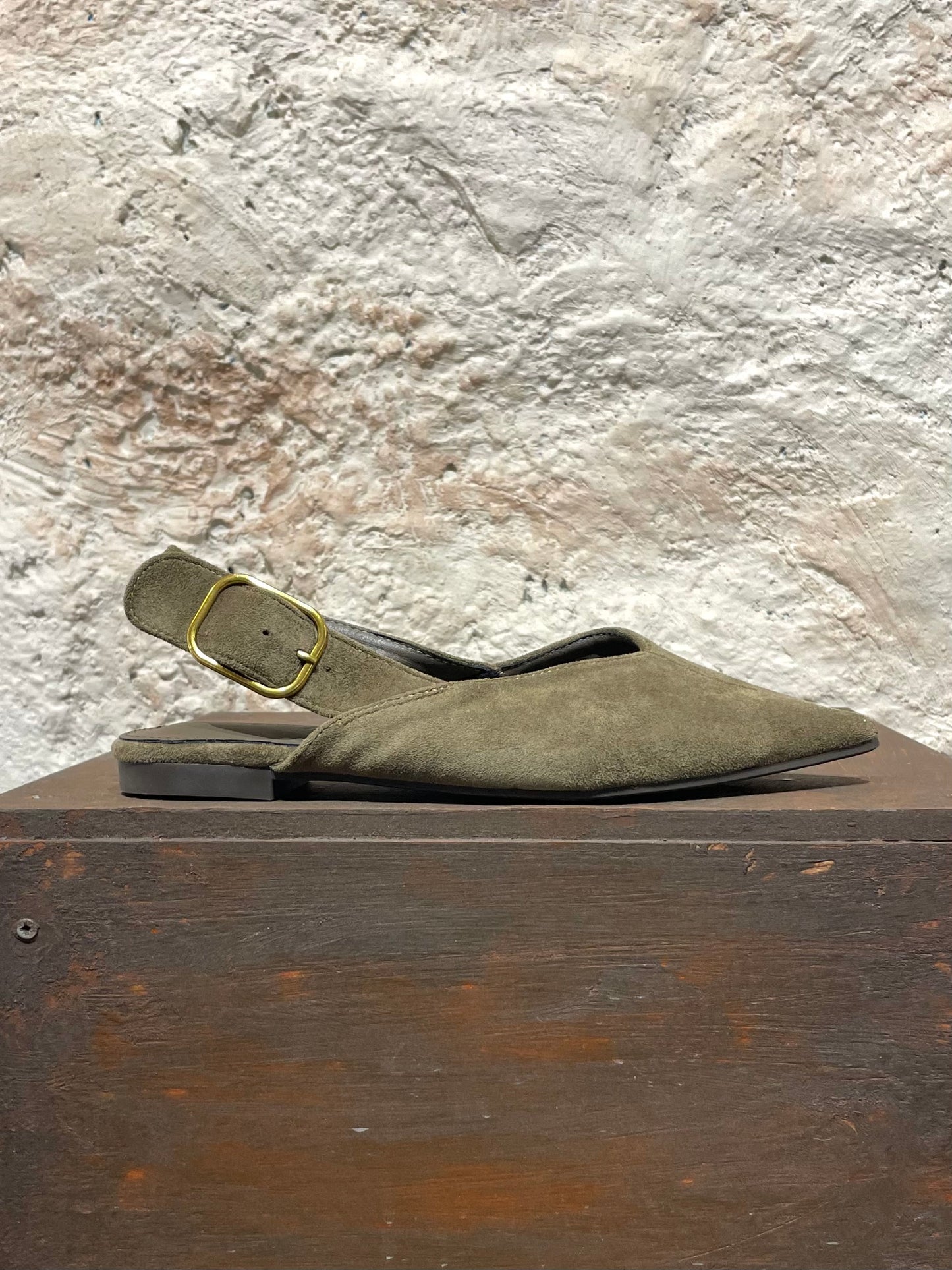 MULE PLANA TAUPE-KAKI HEBILLA DORADA ANTELINA
