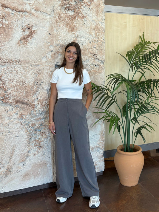 PANTALÓN PINZA RECTO GRIS